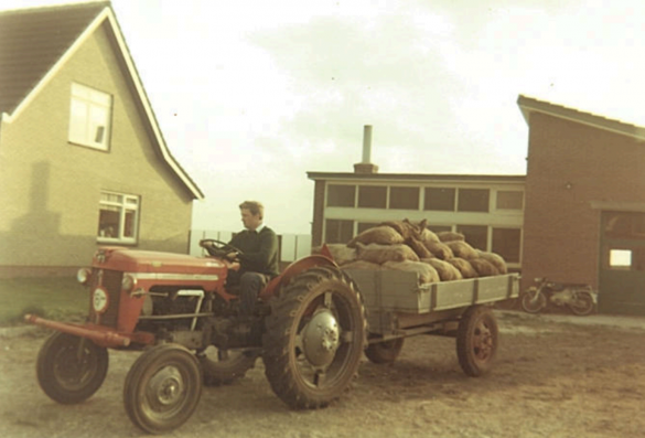 Op weg om te planten