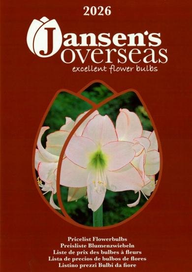 Autumn / Christmas (Q4) Catalog 2026