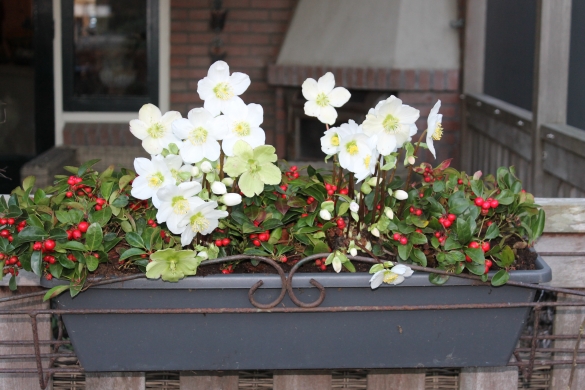 Balcony cabinet