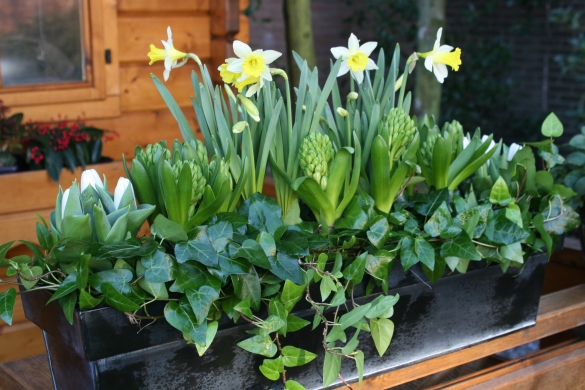 Balcony cabinet