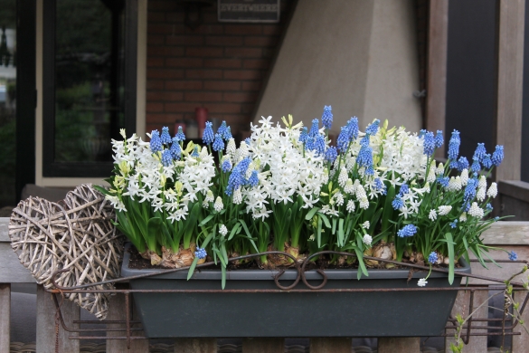 Balcony cabinet