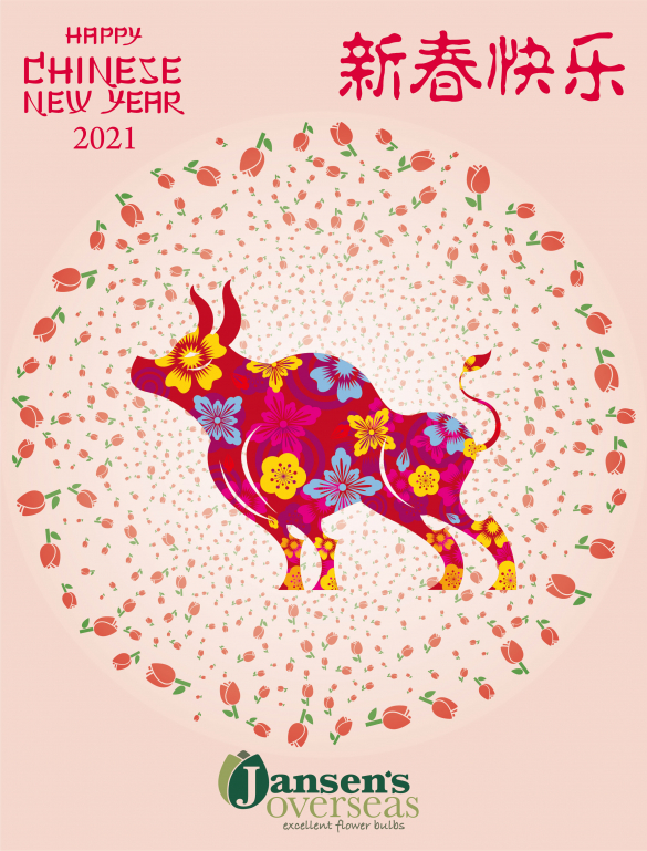 Happy Chinese New Year 2021