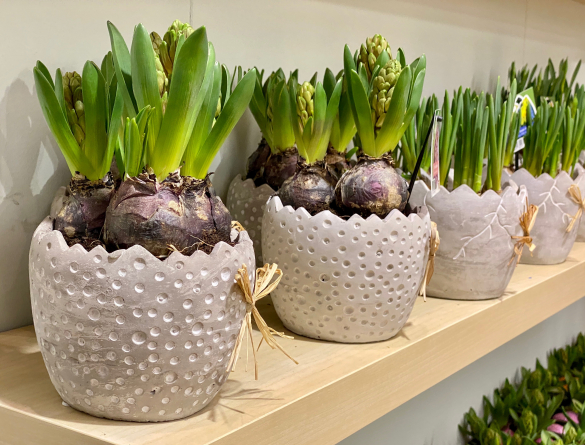 IPM Essen 2022