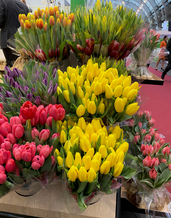 IPM Essen 2022