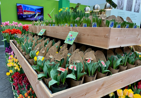 IPM Essen 2022