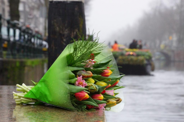 Journée des tulipes à Amsterdam
