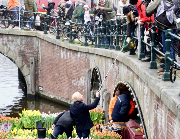 Dzień Tulipanów w Amsterdamie