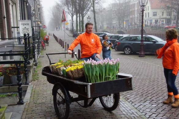 Journée des tulipes à Amsterdam