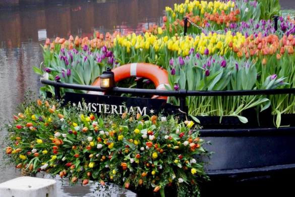 Tulipday in Amsterdam